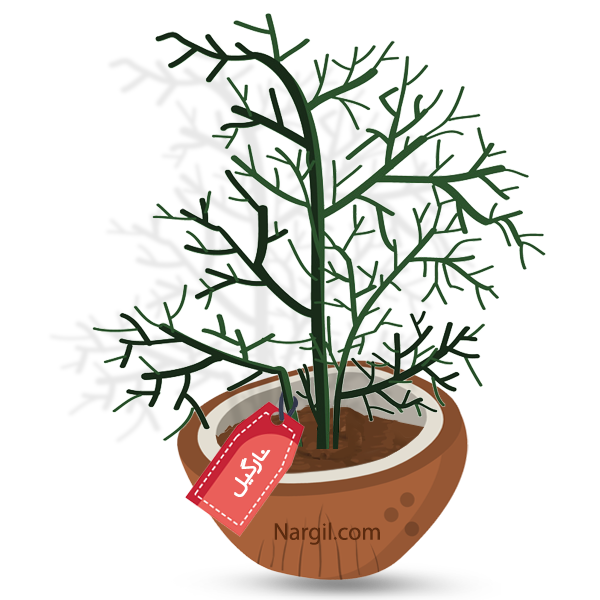  Nargil - Finger Tree